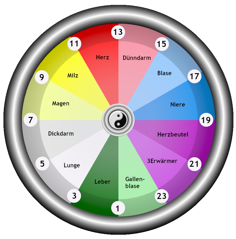 Organuhr mit Minimalzeiten und Maximalzeiten zur Bestimmung der optimalen Leistungsf&auml;higkeit  der einzelnen Organe  -  (Bildquelle: Steffen Michel)